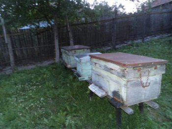 DSC01955 (Small).JPG