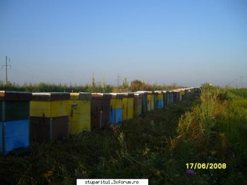 ok_28207.jpg