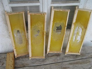 IMG_5767 (Small).jpg