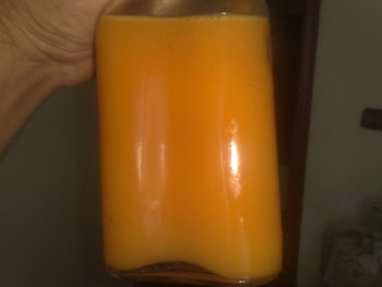 05092011739.jpg