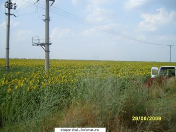 ok_28208.jpg