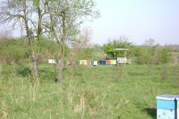 DSC02433.JPG