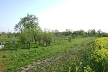DSC02429.JPG