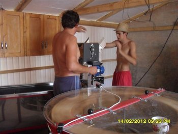 SAM_3357 (Medium).JPG
