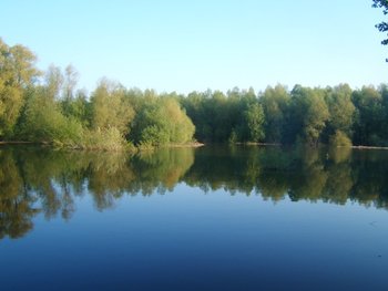 DSCF6010.JPG