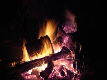 DSC00060.JPG