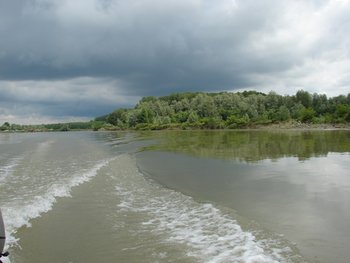 DSC00110.JPG