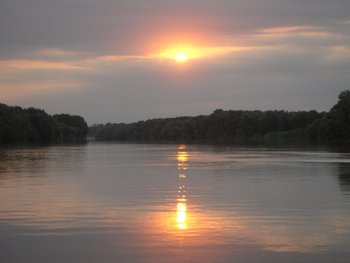 DSC08560.JPG