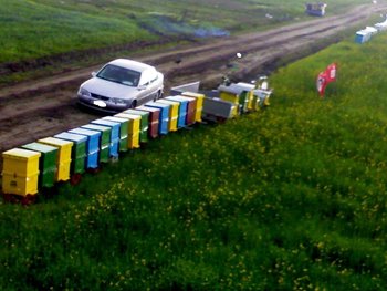 260420121383.jpg