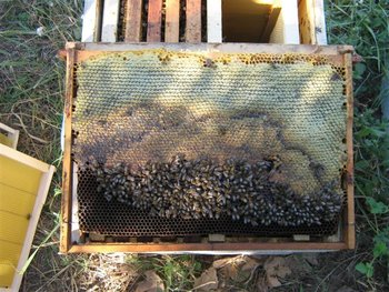 IMG_5906 (Small).jpg