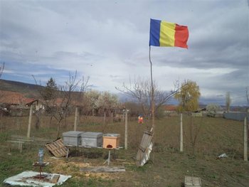 DSC01137 (Small).JPG