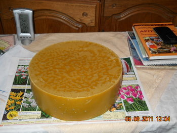 DSCN1393.JPG