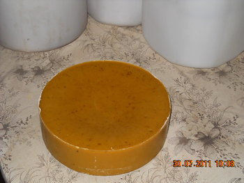 DSCN1309.JPG