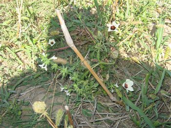IMG_5926 (Small).jpg
