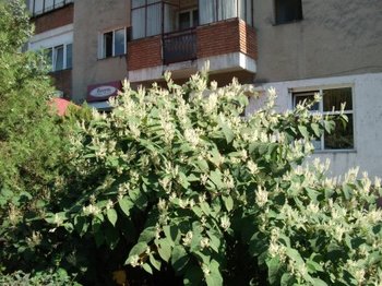 DSCF8759 (Mobile).JPG