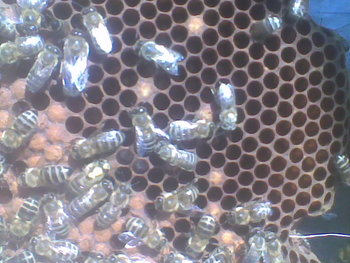Mar-Apr 2012087.jpg