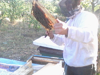 Foto-0039.jpg