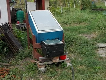 albine sept. 2012 009.JPG