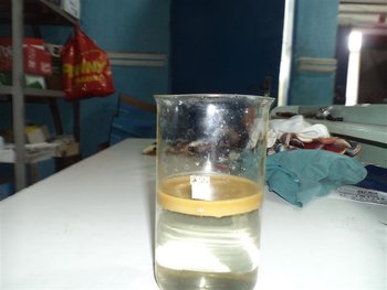 DSC02300 (Small).JPG
