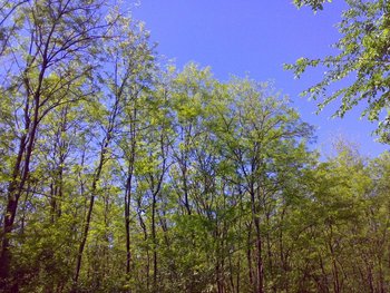 11052011065 (Copy).jpg