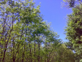 11052011064 (Copy).jpg