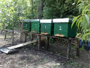 25052012917 (Copy).jpg