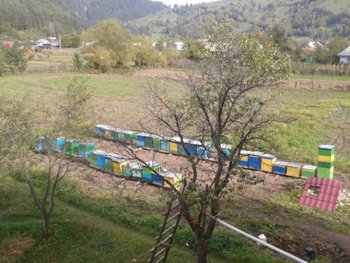 2012-09-28 10.12.52 - Copy.jpg