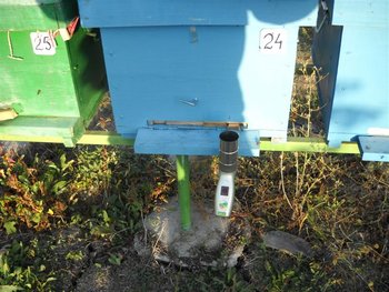 DSCN6100 (Medium).jpg
