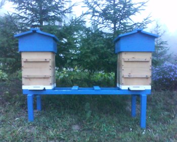 DSC00071.jpg