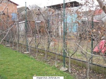 ok_140991.jpg
