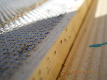 rsz_3dscn4182.jpg