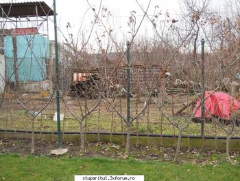 ok_140992.jpg