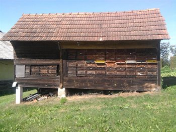 Fotografie0092 (Large).jpg