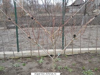 ok_140995.jpg