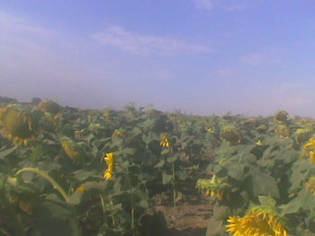 Sep-oct 2012015.jpg