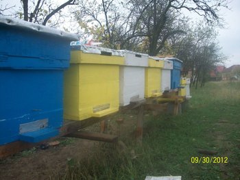Picture 008.jpg