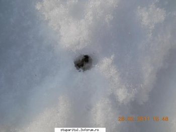 ok_155287.jpg