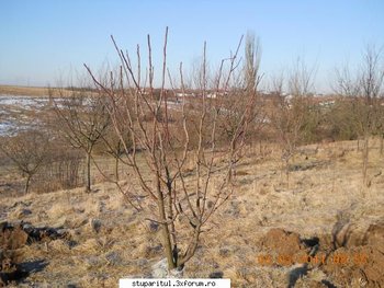 ok_157566.jpg