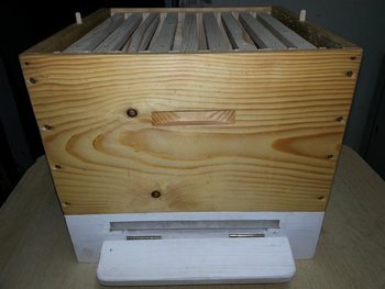 20121106_181914 (Medium).jpg