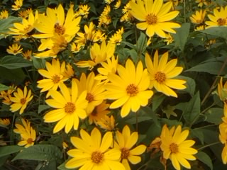 SP_A0159.jpg