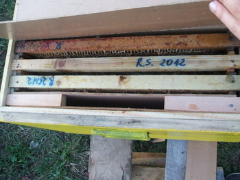 rsz_dscf8760.jpg