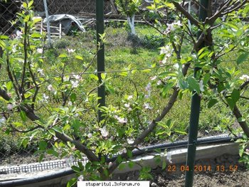 ok_163209.jpg