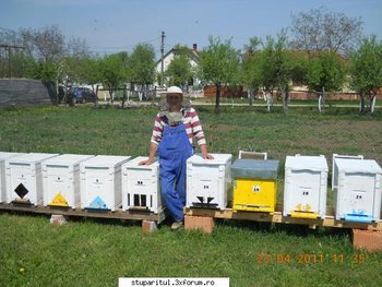 ok_163218.jpg