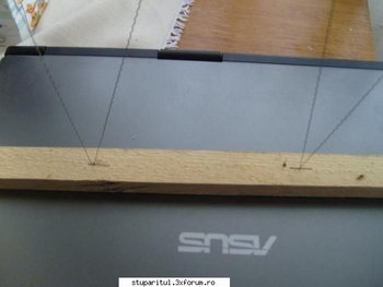 ok_135352.jpg