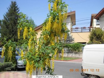 ok_164764.jpg