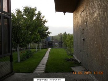 ok_164766.jpg