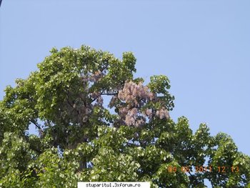 ok_164767.jpg