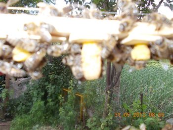 Picture 004 (Small).jpg
