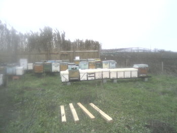 P20-11-12_14.29.jpg