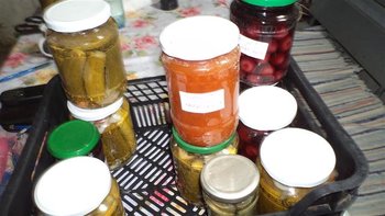DSC02564 (Small).JPG